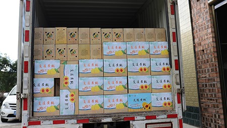 助銷黃桃社會扶貧，關(guān)愛員工送高溫福利